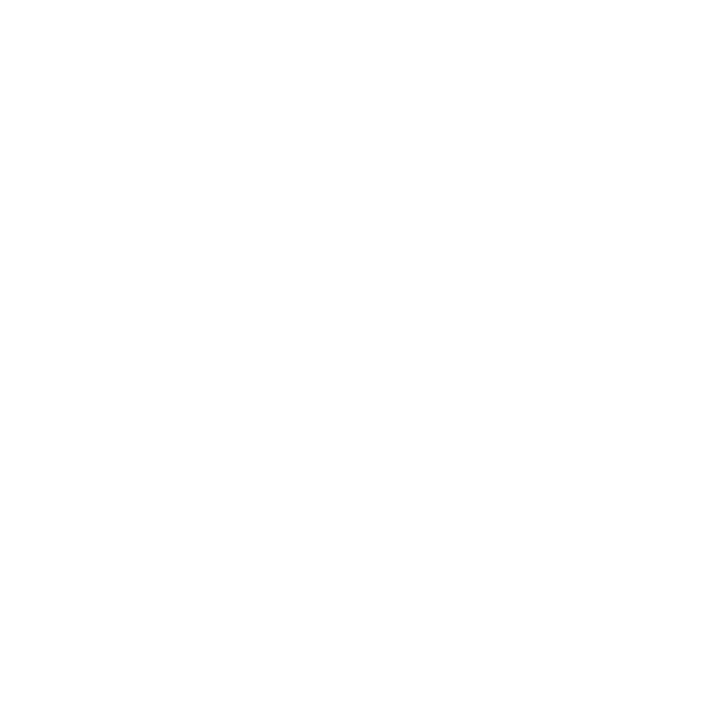 birrd logo